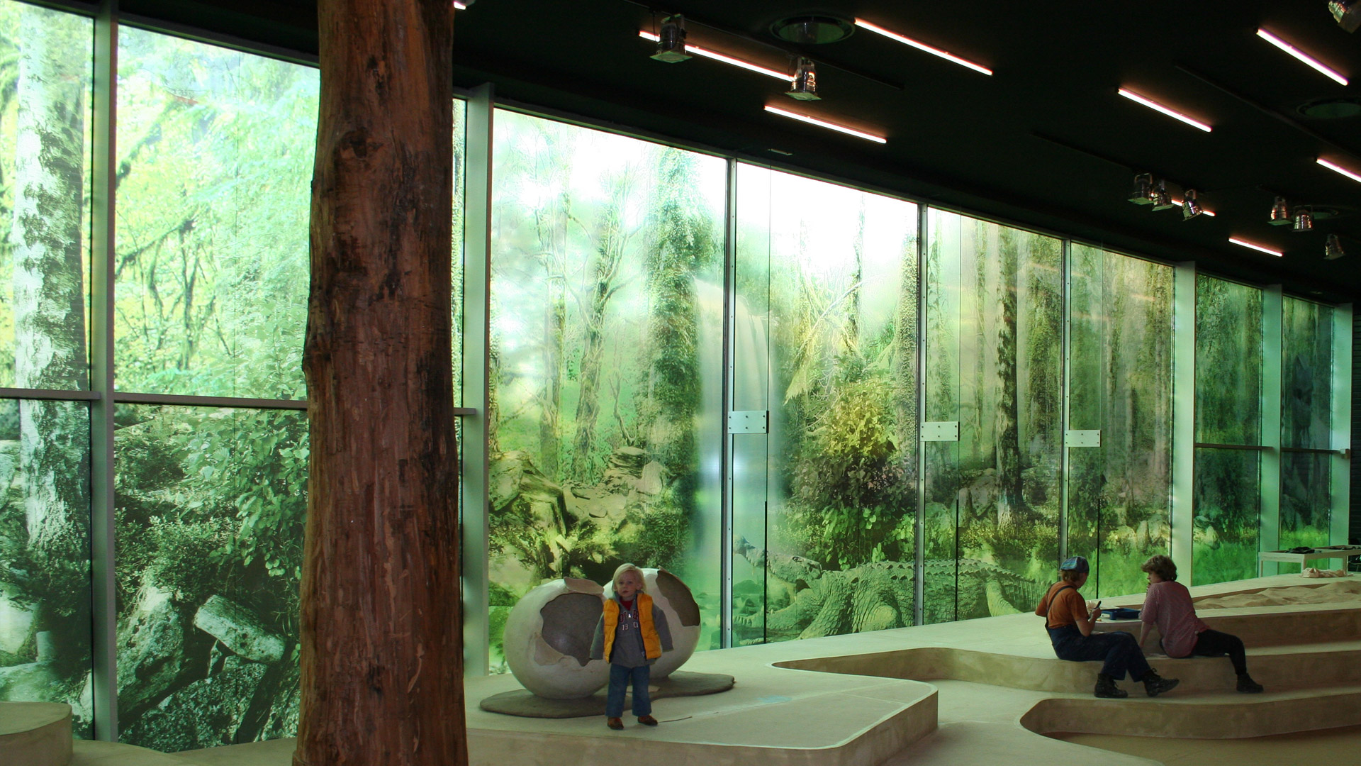 Transparante raamfolie (3) groot, groen, glaswand, natuur