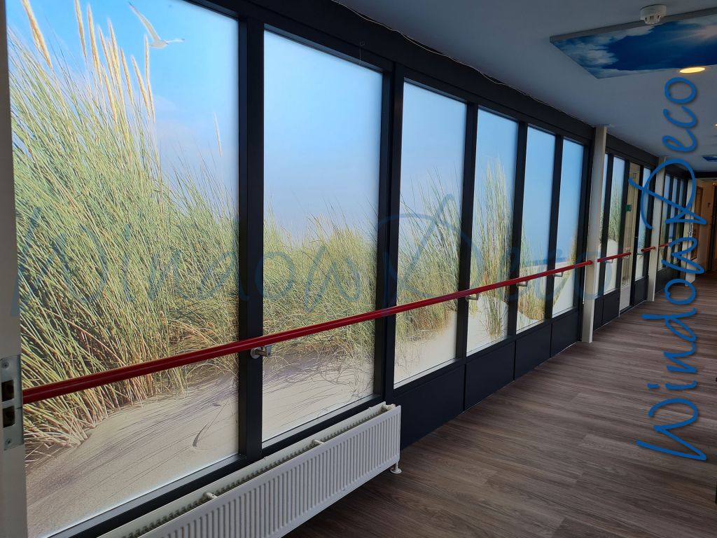 glasfolie bedrukt, WR02, raamfolie met strand, riet blauwe lucht, raamfolie met foto, privacy, binnenkant