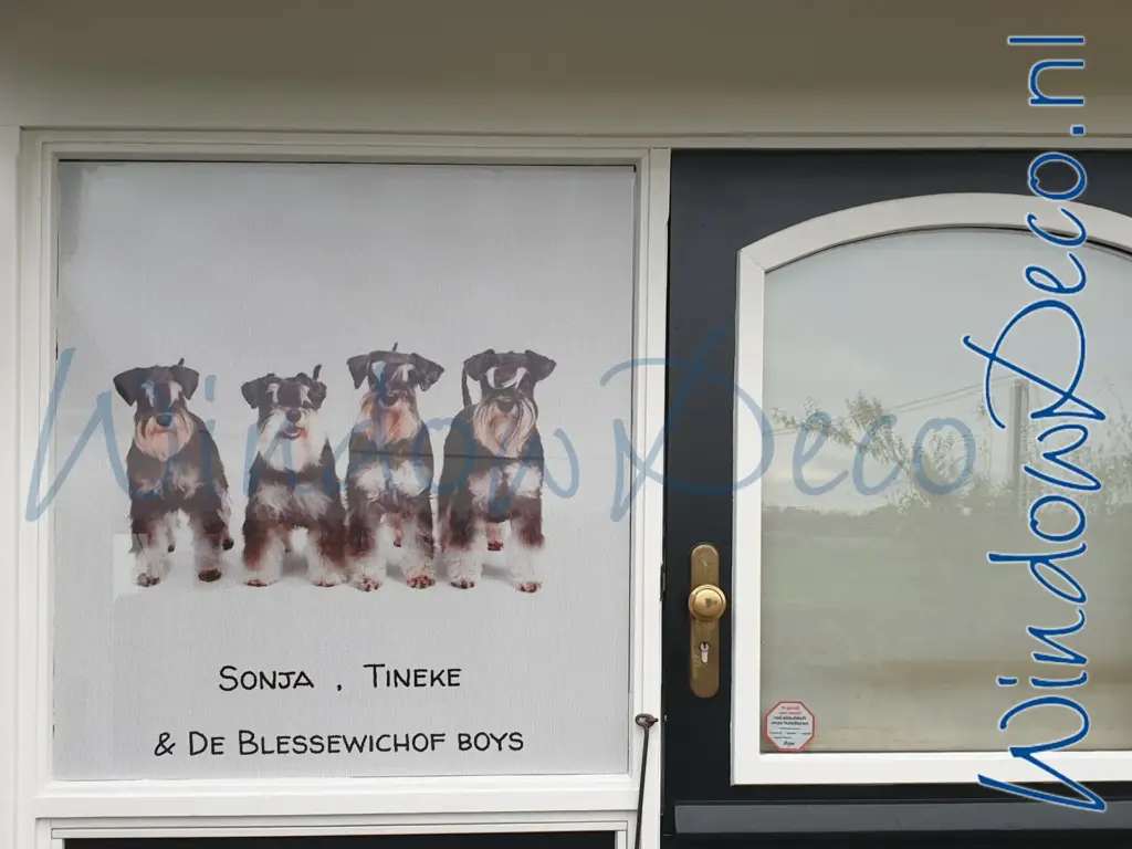 One-way vision raamfolie, anti-inkijk, voordeur, entree, ingang, WindowDeco