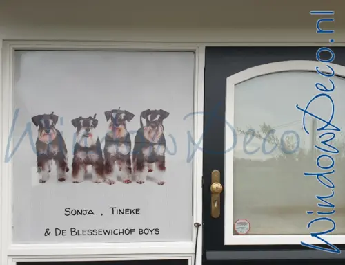 One-way vision raamfolie, anti-inkijk, voordeur, entree, ingang